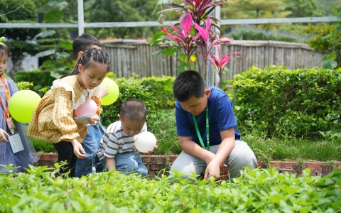 活动预告 | 这个夏天，多场自然教育活动将在凯发园林园艺康养科普基地精彩上演